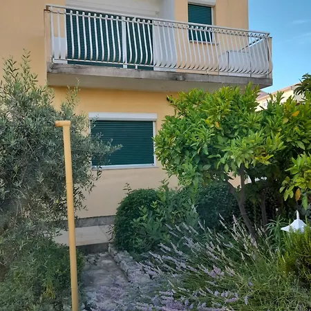 Lily * Vodice